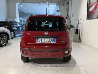 Fiat Panda 1.0 FireFly S&S Hybrid vari colori Blu/Azzurro usata Fornovo di Taro