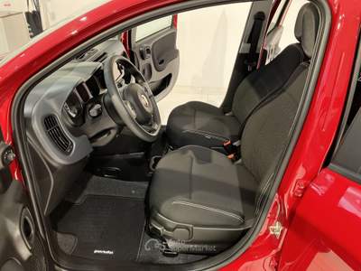 Fiat Panda 1.0 FireFly S&S Hybrid vari colori Blu/Azzurro usata Fornovo di Taro