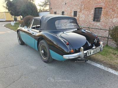 Austin Healey Conservata negli anni Nero usata CASALPUSTERLENGO