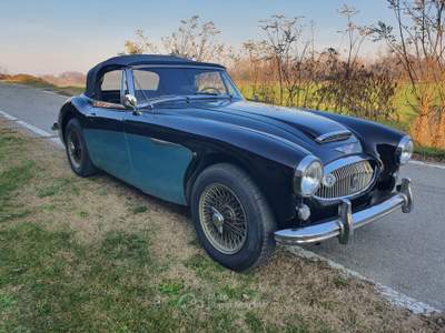 Austin Healey Conservata negli anni Nero usata CASALPUSTERLENGO
