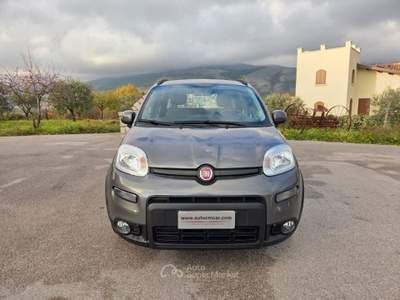 Fiat Panda 1.0 FireFly S&S Hybrid City Life Grigio usata San Gregorio Magno