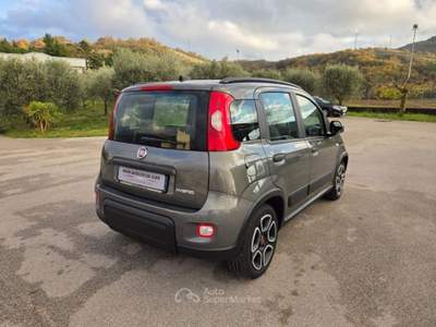 Fiat Panda 1.0 FireFly S&S Hybrid City Life Grigio usata San Gregorio Magno