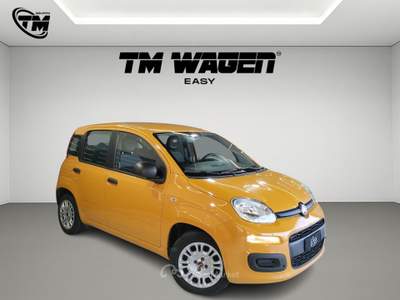 Fiat Panda firefly hybrid s - NEOPATENTATI Arancione usata Pistoia