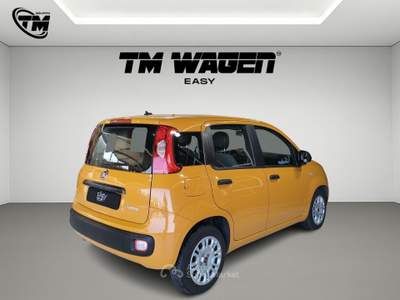 Fiat Panda firefly hybrid s - NEOPATENTATI Arancione usata Pistoia