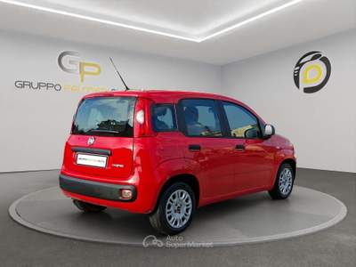 Fiat Panda Panda III 2022 1.0 firefly hybrid s Rosso usata Pompei