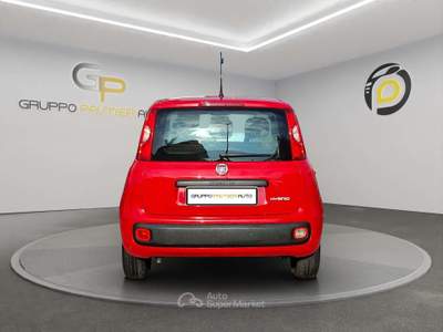 Fiat Panda Panda III 2022 1.0 firefly hybrid s Rosso usata Pompei