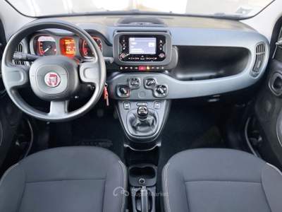 Fiat Panda Hybrid 70CV E6 Neo - 2024 Bianco usata Roma