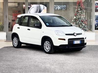 Fiat Panda Hybrid 70CV E6 Neo - 2024 Bianco usata Roma