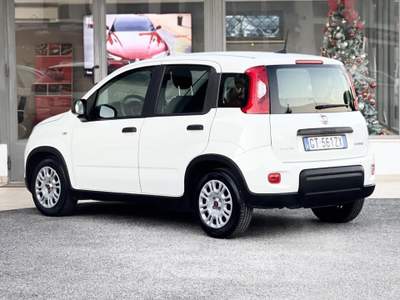 Fiat Panda Hybrid 70CV E6 Neo - 2024 Bianco usata Roma