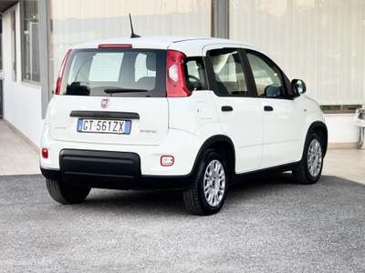 Fiat Panda Hybrid 70CV E6 Neo - 2024 Bianco usata Roma