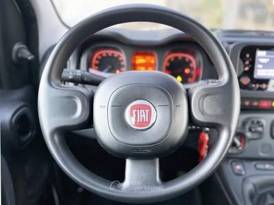 Fiat Panda Hybrid 70CV E6 Neo - 2024 Bianco usata Roma