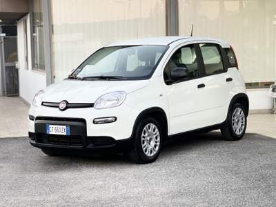 Fiat Panda Hybrid 70CV E6 Neo - 2024 Bianco usata Roma