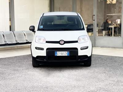 Fiat Panda Hybrid 70CV E6 Neo - 2024 Bianco usata Roma