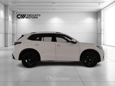 Volkswagen Tiguan 2.0 TDI SCR R-Line Plus 4Motion DSG Bianco usata Padova