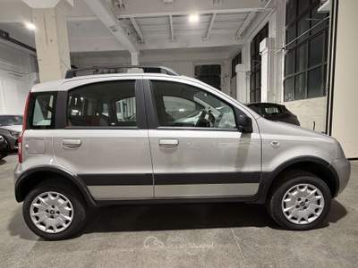 Fiat Panda 1.2 4x4 Argento usata Lumezzane