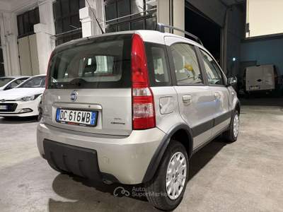 Fiat Panda 1.2 4x4 Argento usata Lumezzane