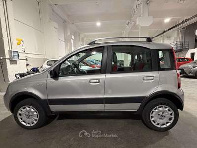 Fiat Panda 1.2 4x4 Argento usata Lumezzane