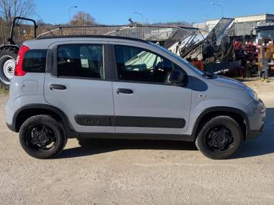 Fiat Panda 4X4 KM 54627 ANNO 2019 Grigio usata Acquasparta