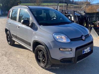 Fiat Panda 4X4 KM 54627 ANNO 2019 Grigio usata Acquasparta
