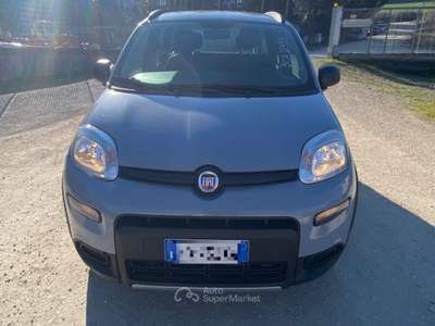 Fiat Panda 4X4 KM 54627 ANNO 2019 Grigio usata Acquasparta