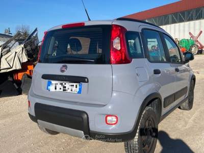 Fiat Panda 4X4 KM 54627 ANNO 2019 Grigio usata Acquasparta