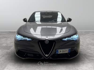 Alfa Romeo Stelvio  - stelvio 2.2 t super rwd 160cv auto Grigio usata Biella