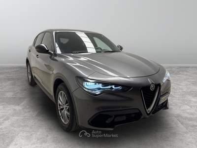 Alfa Romeo Stelvio  - stelvio 2.2 t super rwd 160cv auto Grigio usata Biella