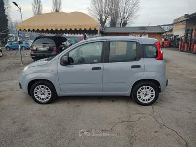 Fiat Panda OK NEOPATENTATI, GARANZIA L.12 MESI, EURO 6D Grigio usata Reggio nell'Emilia