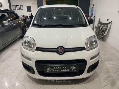 Fiat Panda Panda 1.2 Easy Bianco usata Montemurlo