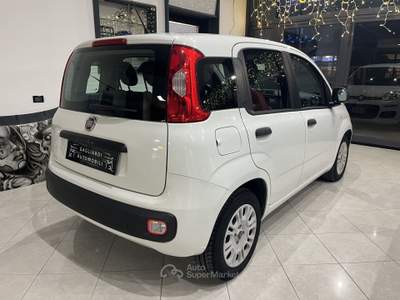 Fiat Panda Panda 1.2 Easy Bianco usata Montemurlo