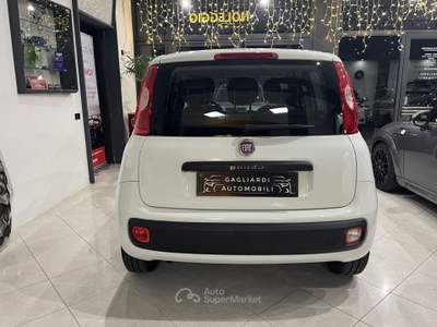 Fiat Panda Panda 1.2 Easy Bianco usata Montemurlo