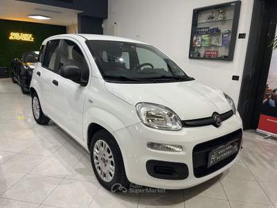 Fiat Panda Panda 1.2 Easy Bianco usata Montemurlo
