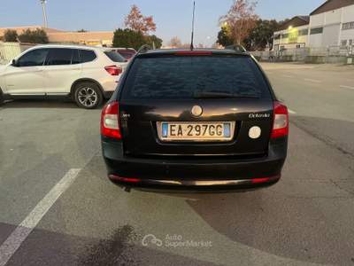 Skoda Octavia 1.6 Elegance GPLine Nero usata Follonica