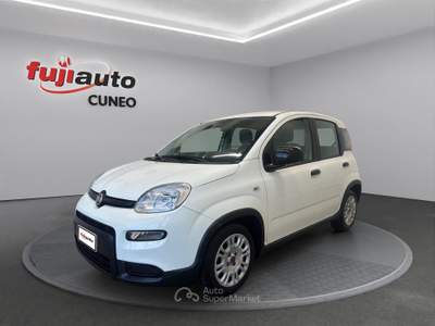 Fiat Panda Panda 1.0 firefly hybrid City Life s&s 70cv Bianco usata Cuneo Fiat Panda Panda 1.0 firefly hybrid City Life s&s 70cv Bianco usata Cuneo