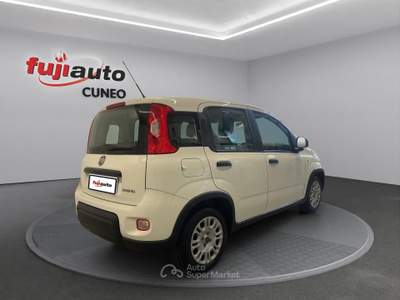 Fiat Panda Panda 1.0 firefly hybrid City Life s&s 70cv Bianco usata Cuneo