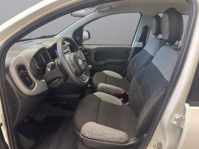 Fiat Panda Panda 1.0 firefly hybrid City Life s&s 70cv Bianco usata Cuneo