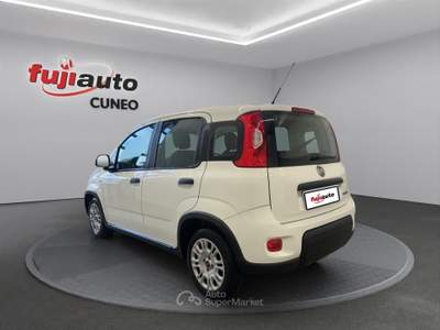 Fiat Panda Panda 1.0 firefly hybrid City Life s&s 70cv Bianco usata Cuneo
