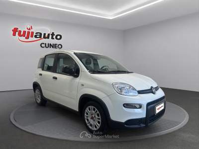 Fiat Panda Panda 1.0 firefly hybrid City Life s&s 70cv Bianco usata Cuneo
