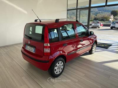 Fiat Panda DPF Emotion Rosso usata Ausonia