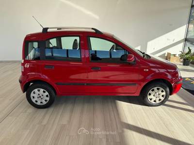 Fiat Panda DPF Emotion Rosso usata Ausonia