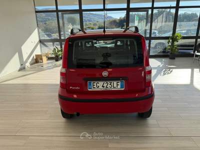 Fiat Panda DPF Emotion Rosso usata Ausonia