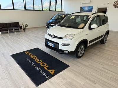Fiat Panda S&S 4x4 Bianco usata Ausonia