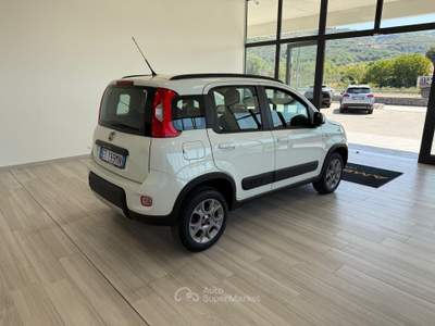 Fiat Panda S&S 4x4 Bianco usata Ausonia