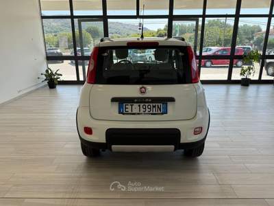 Fiat Panda S&S 4x4 Bianco usata Ausonia