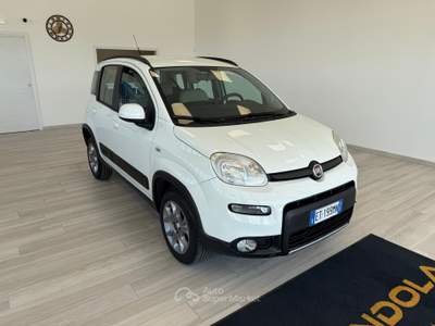 Fiat Panda S&S 4x4 Bianco usata Ausonia
