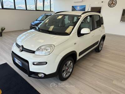 Fiat Panda S&S 4x4 Bianco usata Ausonia