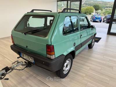 Fiat Panda 1.100ie Trekking Oro usata Ausonia