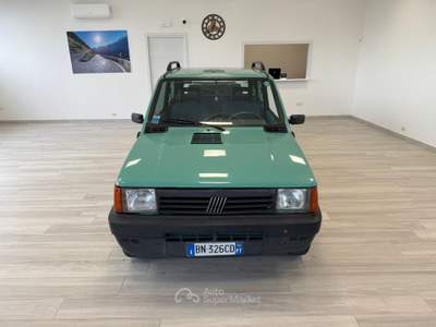 Fiat Panda 1.100ie Trekking Oro usata Ausonia