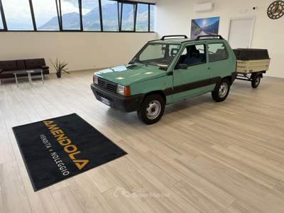 Fiat Panda 1.100ie Trekking Oro usata Ausonia