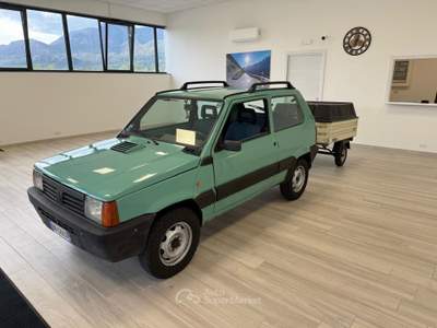 Fiat Panda 1.100ie Trekking Oro usata Ausonia